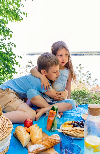 Família Piquenique Livre Abraços Irmão Irmã Estão Almoçando Natureza Conceito — Fotografia de Stock