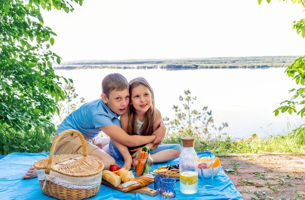 Família Piquenique Livre Abraços Irmão Irmã Estão Almoçando Natureza Conceito — Fotografia de Stock