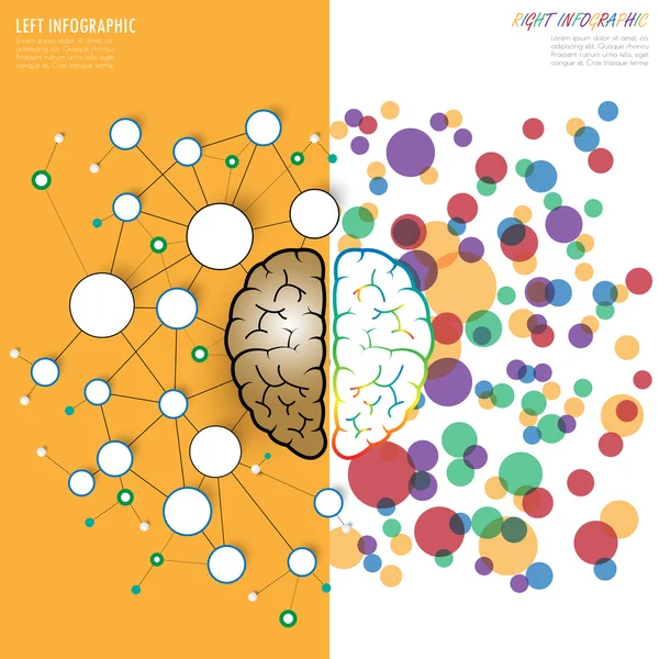 왼쪽 및 오른쪽 뇌 기능 개념, 분석 vs 창의력 — 스톡 벡터