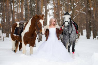 Atlar arasında giyinmiş sarışın bir kadın. Açık havada, kış parkında. Derin kar. İki atlı bir kadının portresi. Dostluk ve evcil hayvan konsepti.