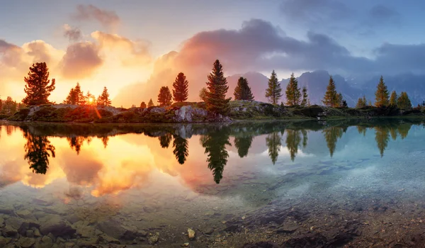 Lago, reflejo del árbol en el agua . — Foto de Stock