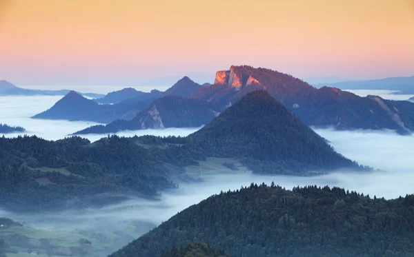 Campo verde y vista de Trzy Korony en Pieniny Mountains, Polonia — Foto de Stock