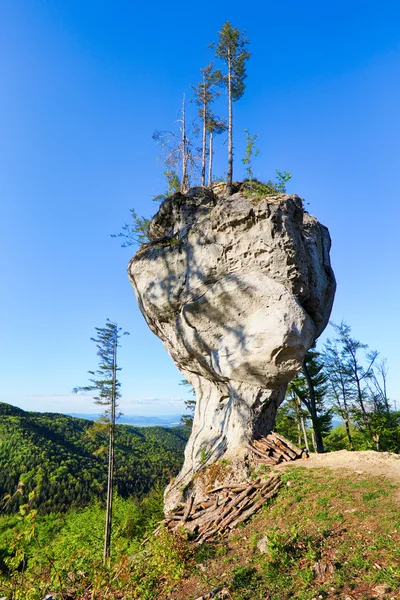 Big rock with name Budzogan in Slovakia — Stock Photo, Image