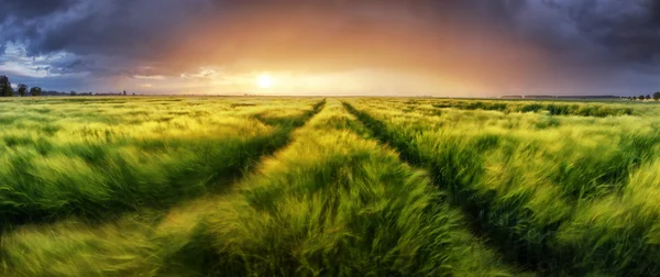 Tempestade e luz no prado, Panorama paisagem — Fotografia de Stock