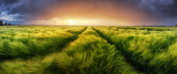 Storm and light on meadow, Panorama landscape — Stock Photo, Image