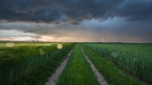 Nubes de tormenta sobre el campo — Vídeos de Stock