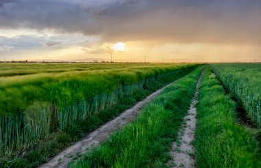 Alan doğa manzara yolu ile gün batımında