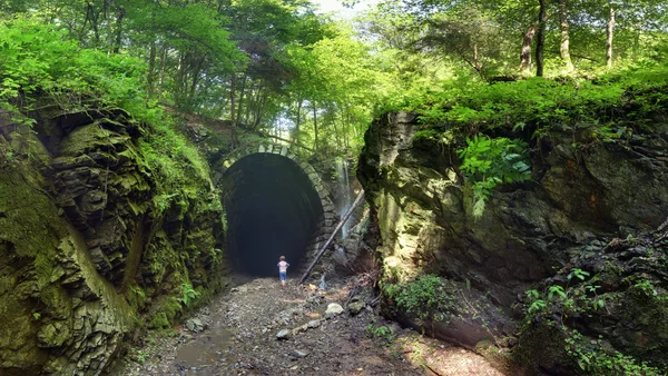 Tünel ile yeşil orman manzara, Slavosovsky, Slovakya — Stok fotoğraf