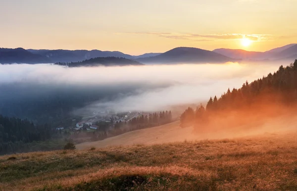 Misty sunrise with sun and forest, Mlynky, Slovakia — Stock Photo, Image