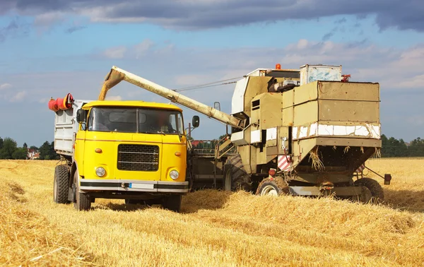 Harvester machine en vrachtwagen, truck bij de oogst — Stockfoto