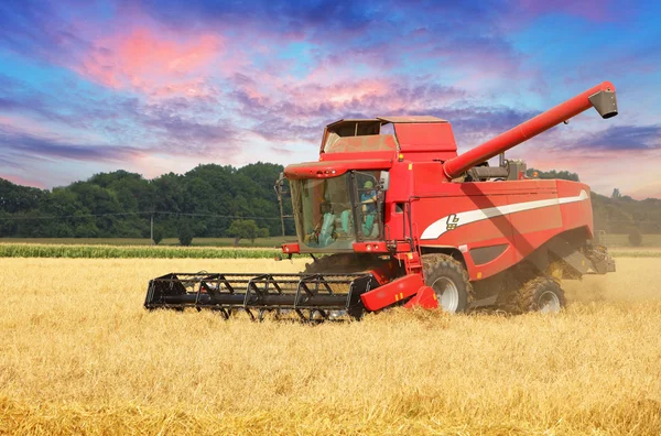 Combineer oogstmachine in tarweveld. — Stockfoto