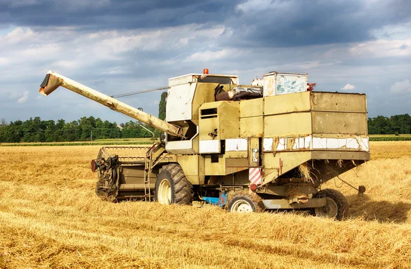 Combiner la moissonneuse dans le champ de blé. — Photo