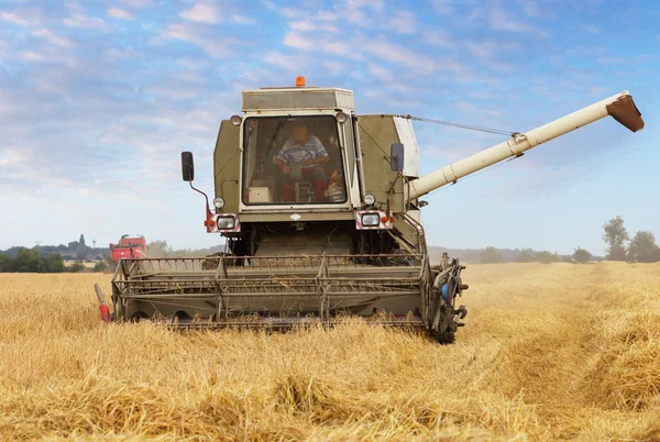 Raccoglitrice su campo di grano — Foto Stock