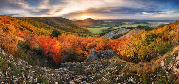 Majestätiska Träd Med Soliga Bjälkar Bergsdalen Dramatisk Och Pittoresk Morgonscen — Stockfoto