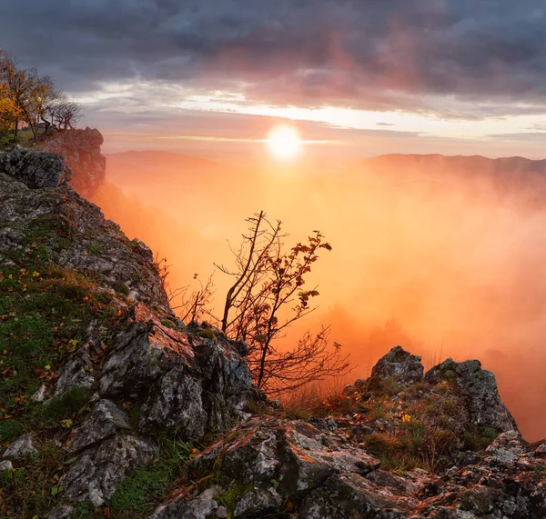 Schöne Sommerlandschaften Den Karpaten Sonnenuntergang Und Sonnenaufgang Nebelschwaden Dramatischer Himmel — Stockfoto