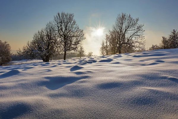 Montanha Paisagem Tempo Inverno Com Floresta — Fotografia de Stock