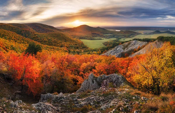 Natuur Herfst Berg Met Boslandschap — Stockfoto