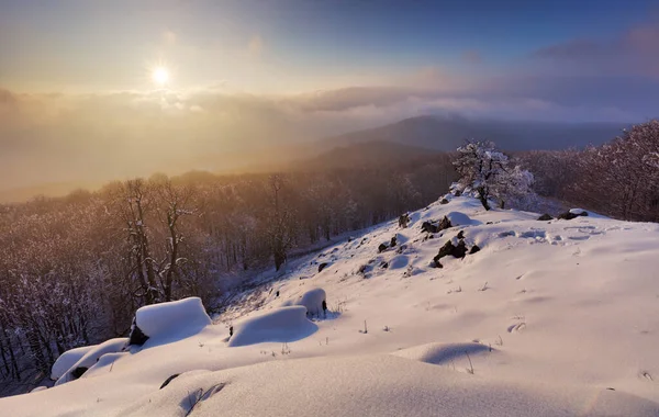 Paesaggio Montano Inverno Con Foresta — Foto Stock