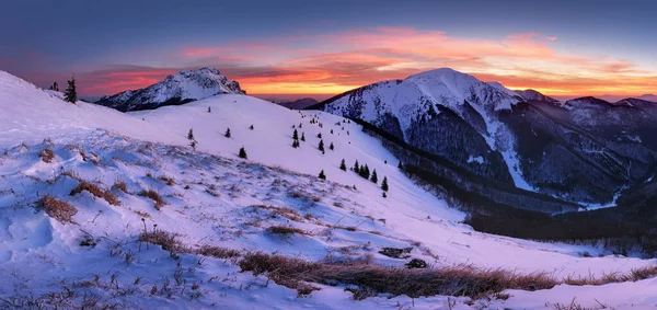 Berg Vinter Landskapsbild Panorama Vid Solnedgången — Stockfoto