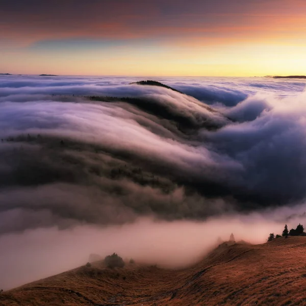 Paisaje Montaña Sobre Nubes Atardecer Eslovaquia Con Bosque Sol — Foto de Stock