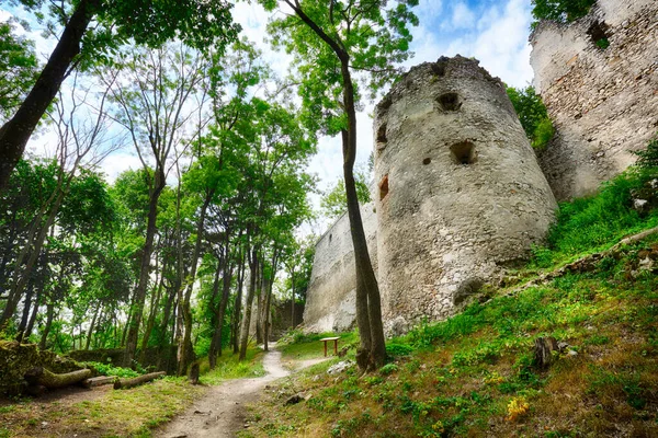 Ruins Castle Dobra Voda Slovakia — Stock Photo, Image