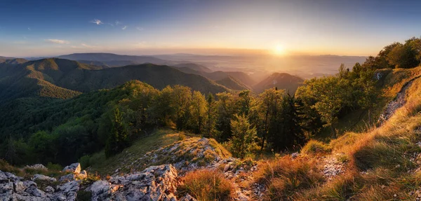 Beau Paysage Avec Montagne Forêt Lever Soleil Slovaquie Fatra — Photo