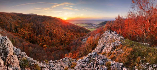 Hermosa Montaña Bosque Otoño Naranja Rojo Muchos Árboles Las Colinas — Foto de Stock