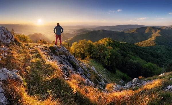 Eslováquia Montanha Pico Drienok Pôr Sol Paisagem Panorâmica Com Silhueta — Fotografia de Stock