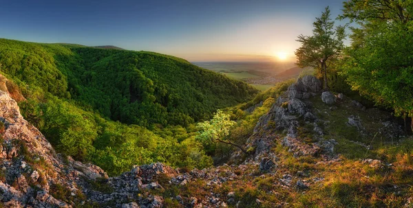 Berg Skog Panorama Vid Solnedgången Slovakien — Stockfoto