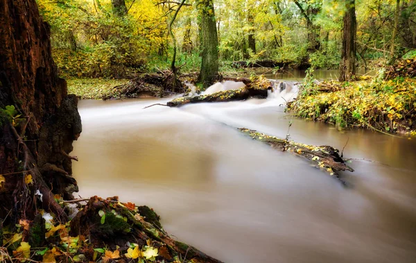 秋天的风景美丽的五彩缤纷的树在河上 在阳光下闪闪发光 漂亮的风景如画的背景 自然界中的色彩 — 图库照片