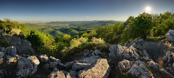 Panorama Lesa Hor Karpat Sluncem Slovensko — Stock fotografie