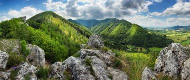 Yeşil ormanlı dağ manzarası