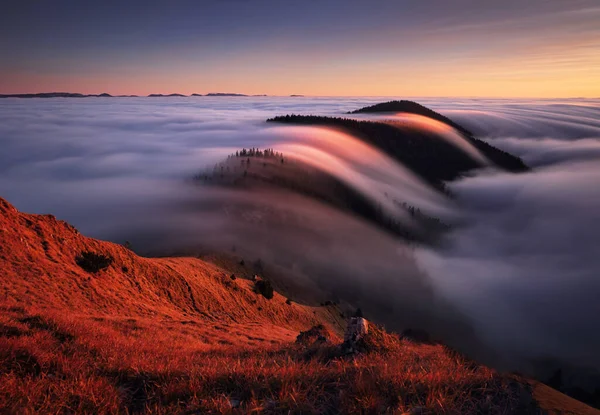 Slovakya Güneş Ormanla Birlikte Gün Batımında Bulutların Üzerindeki Dağ Manzarası — Stok fotoğraf