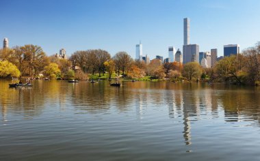 new york şehir manzarası ile Central park