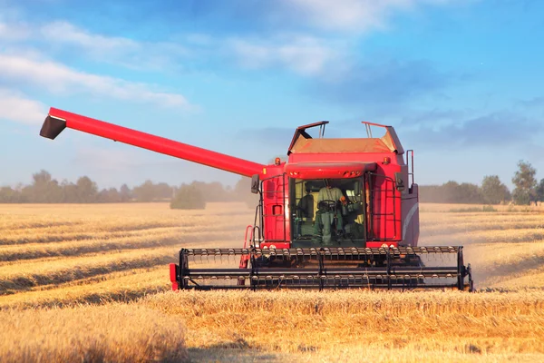 Combineren harvester op veld — Stockfoto