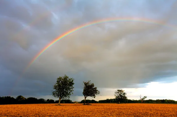 Arco-íris sobre campo — Fotografia de Stock