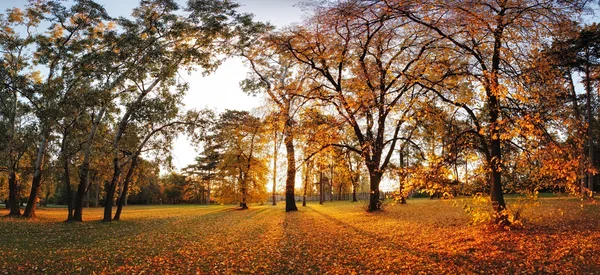 Panorama van de herfst in park — Stockfoto