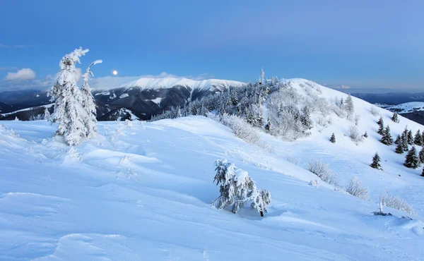 Montagna forestale in inverno — Foto Stock