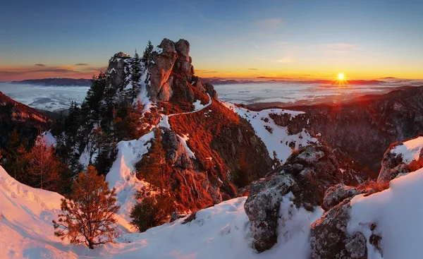 Zonsondergang in de winter met forest in Slowakije — Stockfoto