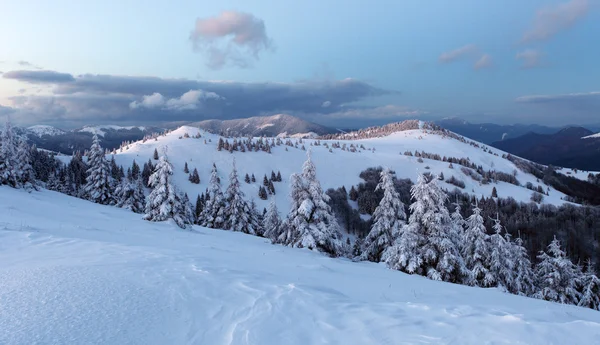 Montagna forestale in inverno — Foto Stock