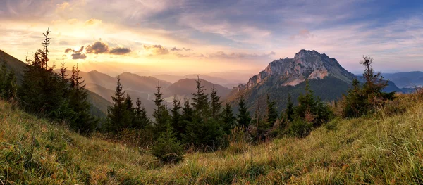 Slowakischer Berggipfel rozsutec — Stockfoto