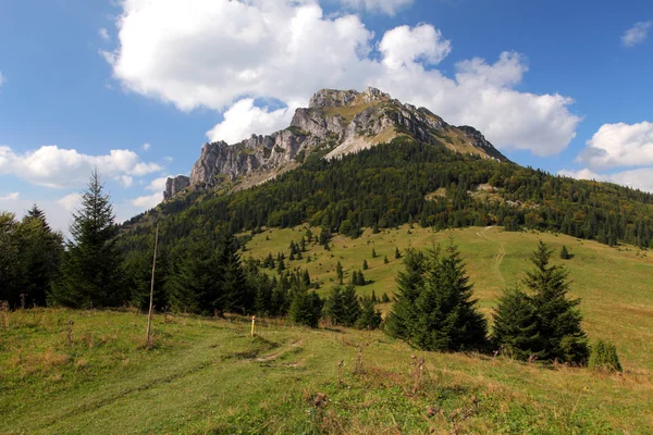 Sommaren mountain peak Rozsutec — Stockfoto