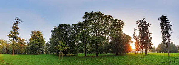 Arbre dans le parc d'automne — Photo