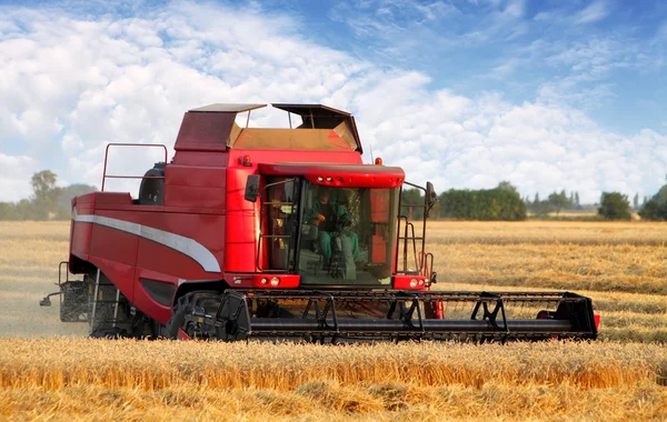 Wheat field with harvester Royalty Free Stock Images