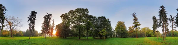 Panorama à 360 degrés, forêt dans le parc — Photo