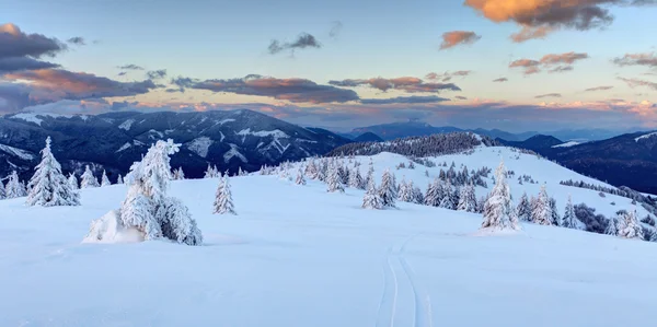 Panorama de montanha de inverno - Donovaly — Fotografia de Stock