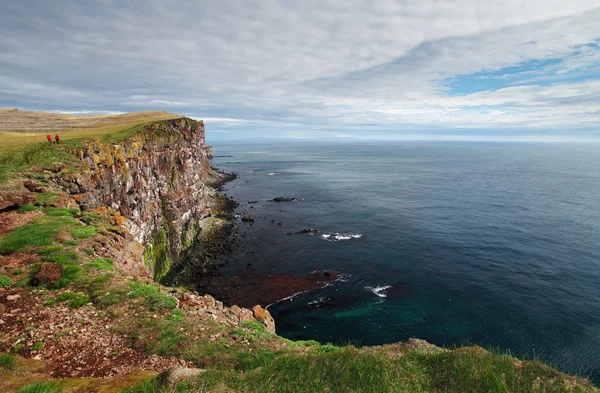 Cliff in Islanda - latrabjarg — Foto Stock