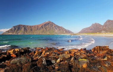lofoten Adaları Norveç'te sahilde
