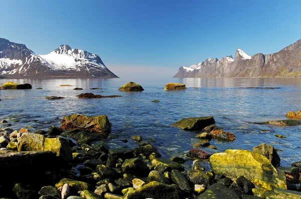 Norsko fjord senja, Norsko — Stock fotografie