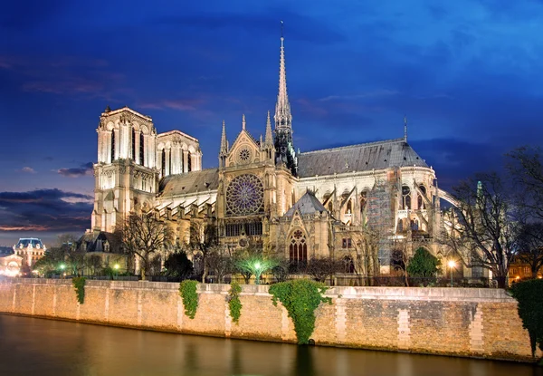 París - Notre Dame —  Fotos de Stock